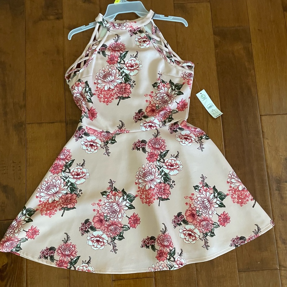 Large No Boundaries Pink Floral A-Line Dress New With Tags